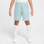 Nike Junior Academy 25 Short