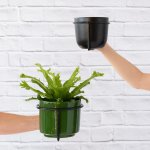 G-string Wall Pot Holder - Black - 18CM With 16CM Forest Green Migo Planter