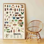 - Discovery Sticker Poster - Insects