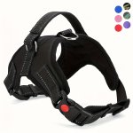 Doglee No Pull Reflective Adjustable Dog Harness With Handle