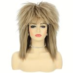 Tina Turner Wig