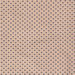 Euro Visse Spandex Camel Scarabee 15196 053