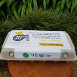 Jo’s – Pasture Raised Eggs XL 18S
