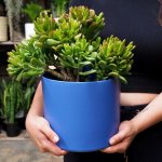 Emerson Pot - Matt Large - Cobalt Blue Matt - 19CM