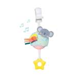 Musical Koala