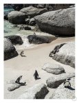 Chilling 2 Art Print - A4