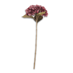 @home Stem Single Autumn Hydrangea Purple 65CM