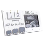 Sonogram Picture Frames Ultrasound Photo Frames