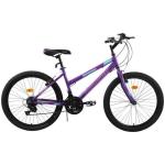 24" Eclipse Ladies Mtb