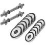 Cast Iron Dumbbell Set 27.5KG - Spinlock Star Collars - Chrome