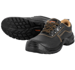 Pioneer Safety Shoe