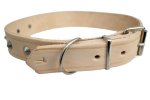Leather Dog Collar 7 30MM X 600MM