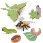 Bretoyin Life Cycle Of A Luna Moth And Bee - 8PCS Lifecycle Set Miniature Insect Lifecycle Collection Realistic Moth Family Educ
