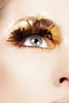 Brown Feather Eyelashes