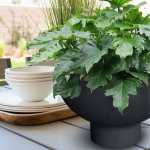 Atlas Japi Bowl Black - Large