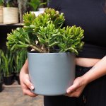 Emerson Pot - Matt Large - Grey Matt - 19CM
