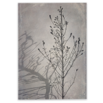 Shadowplay 1 Art Print - A4 No Frame Print Only
