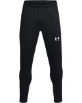 Men's Ua Challenger Training Pants - Black Md