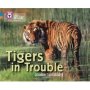 Tigers In Trouble - Band 04 Blue/band 12 Copper   Paperback