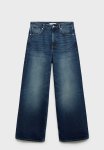 Plus Jeans Danielle - Open Blue
