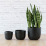 Moon Planter - Black - 13CM