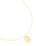 Waterproof Gold Plated Stainless Steel Birth Flower January Carnation Necklace