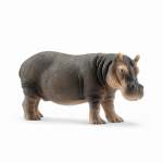 Wildlife - Hippopotamus