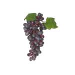 Artificial Grape Bunch Light Purple 85 Head