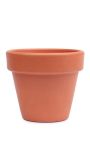 Terracotta Pot - 20CM