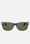 New Wayfarer Sunglasses 55MM - Crystal Green & Black