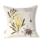 Protea Suikerbossie Scatter Cushion