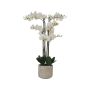 Tall White Real Touch Orchid