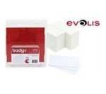 EvoLIS Pvc Cards X100