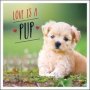 Love Is A Pup - A Dog-tastic Celebration Of The World&  39 S Cutest Puppies   Hardcover