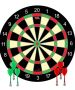 Unique Dart Board