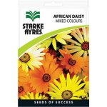 African Daisy Mixed Colours Flower Seeds