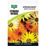 African Daisy Mixed Colours Flower Seeds