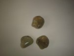 Prehnite Crystal Tumbled Stone For Healing And Angel Connection