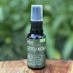 Gotu Kola Tincture Aether Apothecary