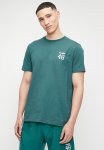 Bellezza - Teal
