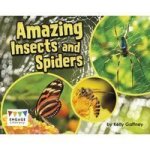 Amazing Insects And Spiders Paperback