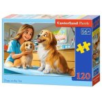 120 Pce Castorland Dogs At The Vet