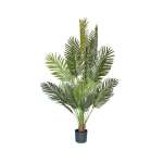 Palm Tree - 1.9M