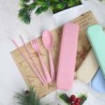 Portable Cutlery And Straw Travel Set 4-COLOUR Storage Box