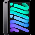 Apple Ipad MINI 6