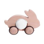 Bunny Push Toy