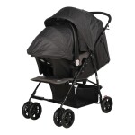 Safeway Breeze Travel System