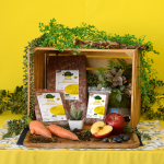 Give A Dog A Bone - Willows Low Fat Chicken Dinner - 1KG