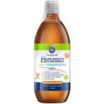 Silverlab Colloidal Sil Liq 500ML Dialy