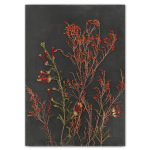 Night Garden 8 Art Print - A4 No Frame Print Only